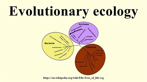 Evolutionary Ecology Youtube