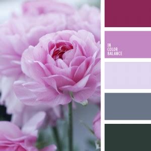 цвет гелиотроп | IN COLOR BALANCE