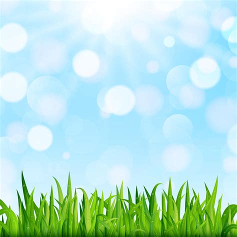 Sky Grass Background Vector