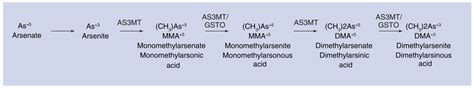 Oxidative Methylation Of Arsenite Arsenate As Reduction Is