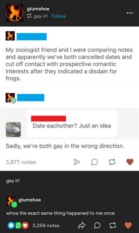 Gay Irl R Curatedtumblr