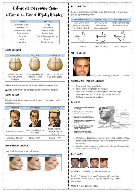 Examen Clinico Intraoral Y Extraoral Gina Alarcon UDocz