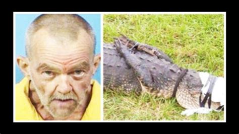 Story About Man Who Had Sex With Alligator Fake As Crocodile