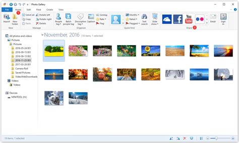 How To Download Install And Use Windows Photo Gallery Minitool