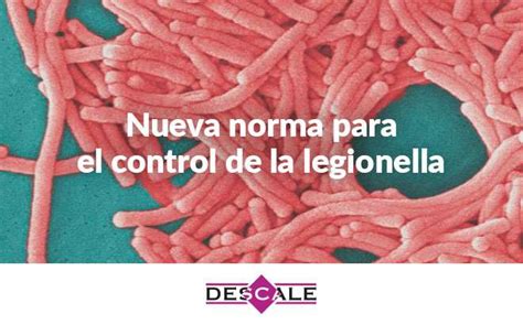 Aenor Actualiza Su Norma Sobre Prevenci N Y Control De La Legionella