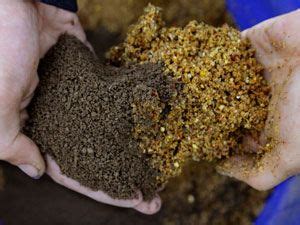 Бетаин для рыбалки: как приготовить прикормку своими руками, где купить