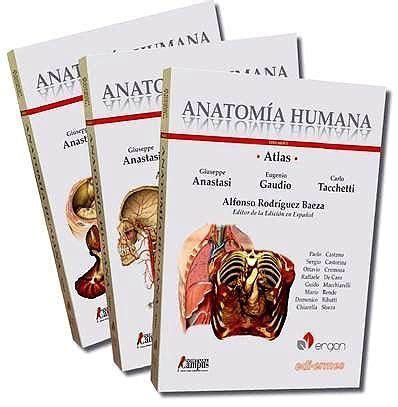 Atlas Anatomia Humana Tomos Alfonso Rodr Guez Baeza Giuseppe