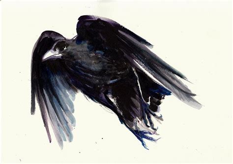 Dark Raven In Flight Crow Flying Painting By Tiberiu Soos Pixels