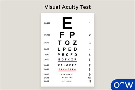 Pack Pocket Eye Chart For Students In Snellen Eye Chart 60 Off