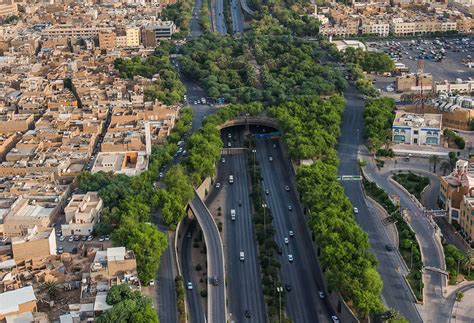 Saudi Arabia S Visionary Crown Prince MBS Will Plant 80 Million Trees