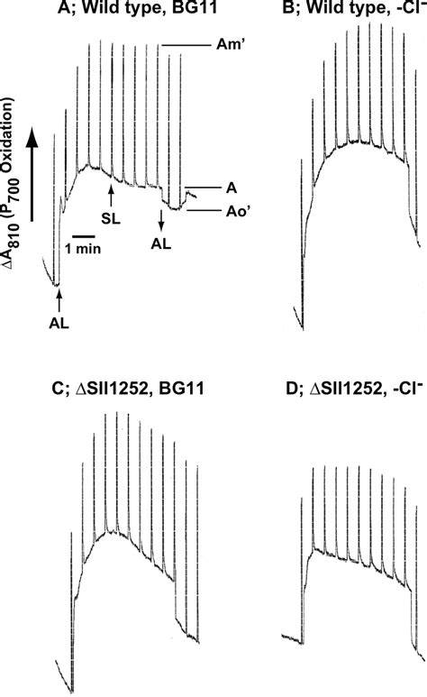 Light Induced Oxidation Reduction Kinetics Of P700 A D Download Scientific Diagram