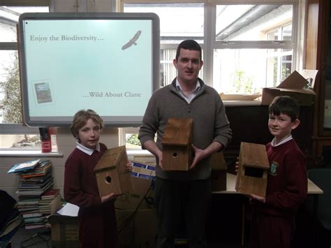 Scoil Phadráigs Biodiversity Green Flag Initiative Clanecommunityie