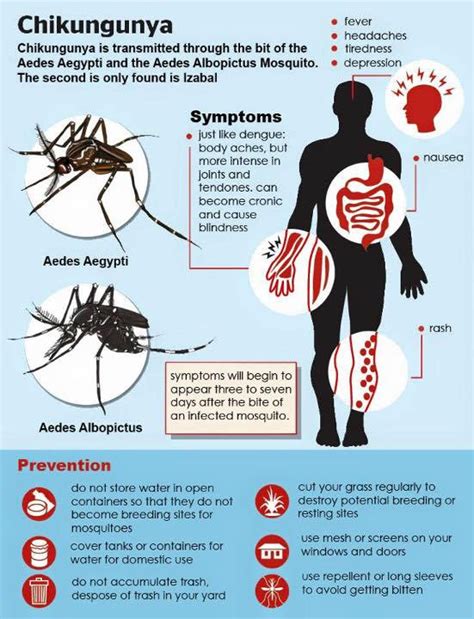 Chikungunya