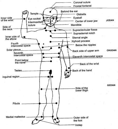 The Human Body Pressure Points Yahoo Search Results Body Pressure