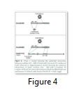 In Vivo Investigation Of Interactions Between Replisome Components In