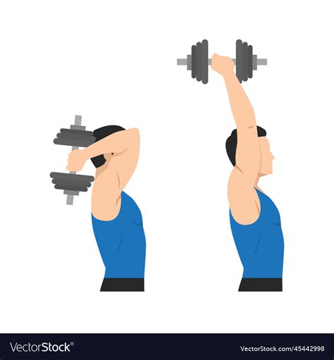 Man doing dumbbell overhead triceps extension Vector Image