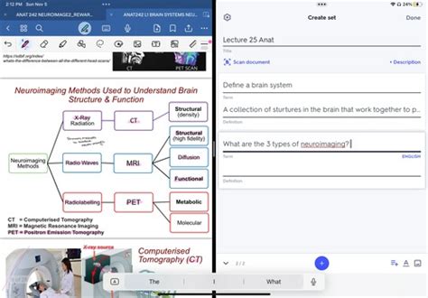 Lecture Anat Flashcards Quizlet