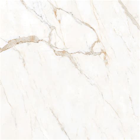 Calacatta Oro 48X48 Polished Ideal Tile Stone