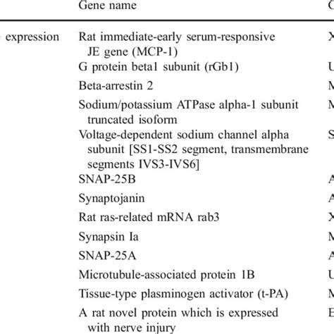 Genes Grouped According To Functional Activity Whose Expression Was