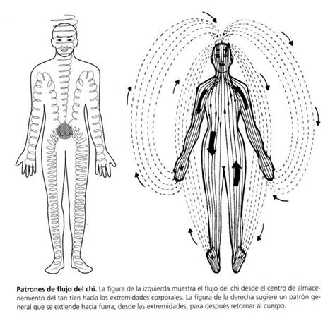 Polarity Therapy Charts 1 6 11 13 Polarity Therapy Artofit