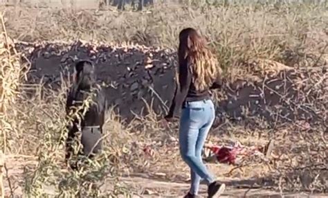 Localizan 4 Cuerpos En Colonia Granjas De Chihuahua