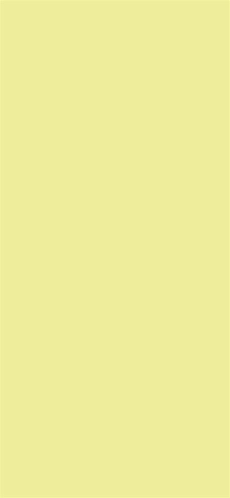 Soft Yellow color - #EEEE9B - The Official Register of Color Names