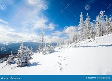 Paisagem Nevado Imagem De Stock Imagem De Inverno Abeto