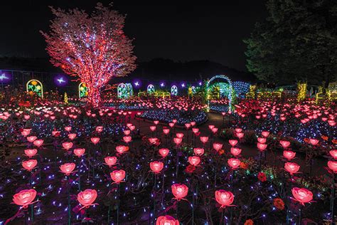 栃木・あしかがフラワーパークのイルミネーション「光の花の庭」 ファッションプレス