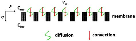 Membranes Free Full Text Two Dimensional Theoretical Analysis And