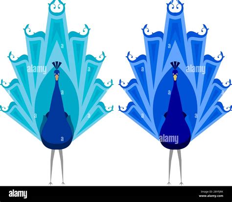 Peacock Artistic Hand Drawn Vector Art Stock Vector Image Art Alamy