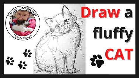 How To Draw Fluffy Long Hair Cat Using Lines And Shapes Front Facing Sitting Easy Beginner