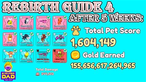 Rebirth Guide 4 Collect All Pets For Fast Progress After 5 Weeks YouTube