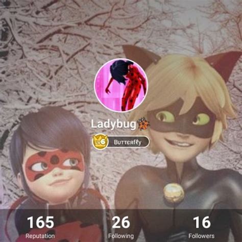 Lady Bug Wiki Miraculous Amino