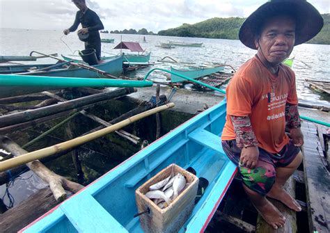 Back To Fishing Care Philippines International Humanitarian Organization