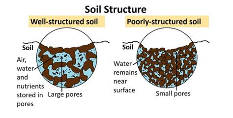 The Multiple Benefits Of Healthy Soils Slow The Flow