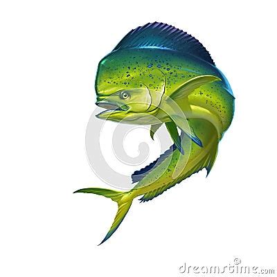 Mahi Mahi Fish Royalty-Free Stock Photography | CartoonDealer.com #89610989