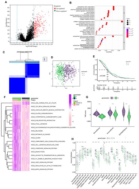 Prognosis Related Gene Clusters Identification A The Degs Of Subtype Download Scientific