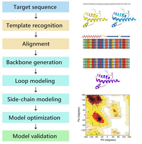 Homology Modeling Profacgen