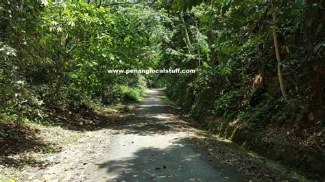 Hiking Up Bukit Tokun (Tokun Hill) In Bukit Mertajam, Mainland Penang ...