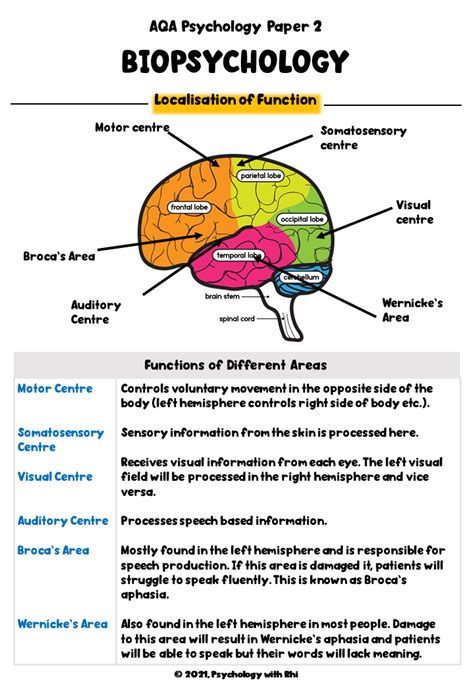 AQA Biopsychology Full Revision Notes A Level Psychology Teaching