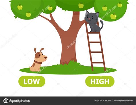 Difference Between 4 High And 4 Low