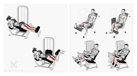 Nordic Hamstring Curls ohne Gerät modusX