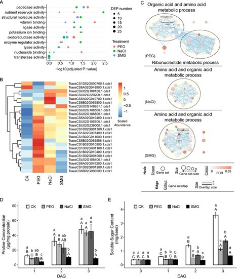 Gene Ontology GO Enrichment Analysis Of Differentially Expressed