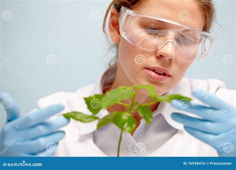 Woman Scientist With Plant Stock Photo Image Of Research 76938416