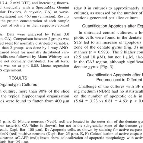 Documentation of morphology (A) and apoptosis in organotypic ...