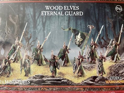 Warhammer Fantasy Battle Wood Elves Eternal Guard Hobbies Toys Toys