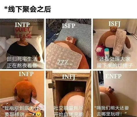 Isfp性格最佳恋爱类型 知乎