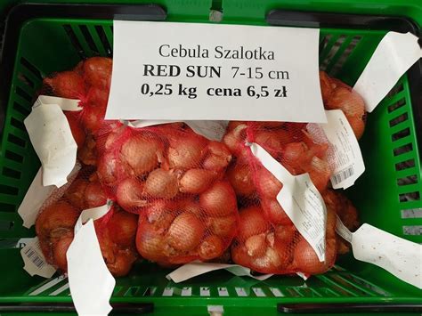 Cebula Dymka SZALOTKA RED SUN 0 25 Kg 13516290548 Oficjalne