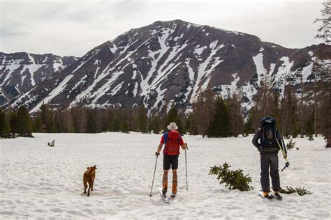 Spread Eagle Peak Utah Backcountry Skiing Uinta Mountains