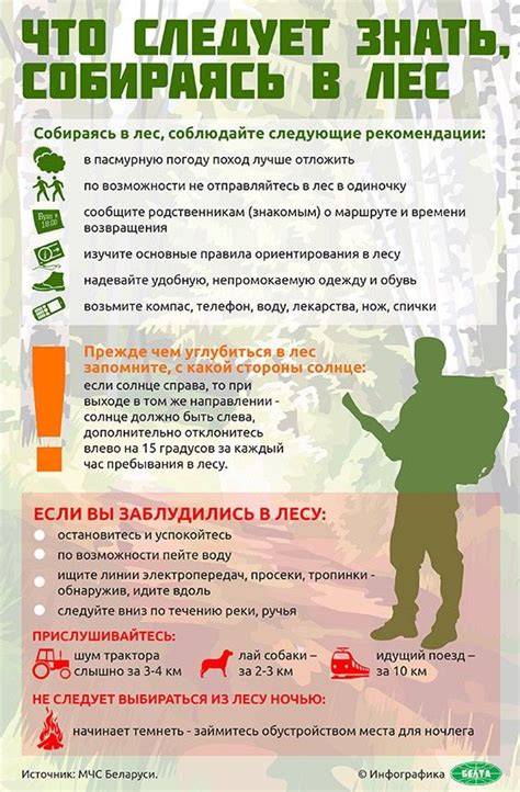Походы в лес #походывлес #выживаниевдикихусловиях #bushcraft #survival ...